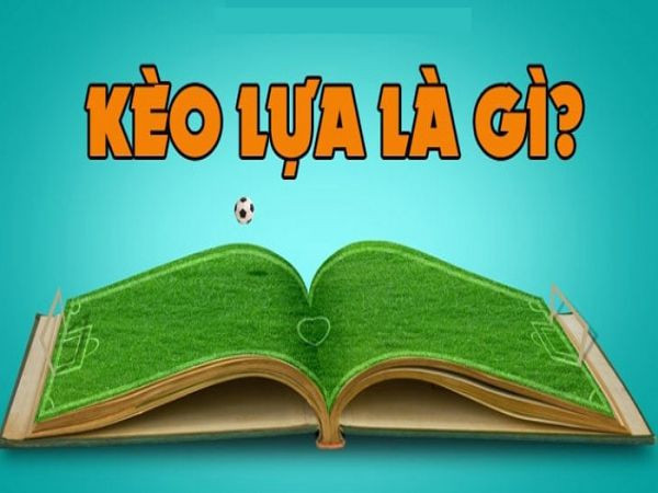 Kèo lựa là gì? Bí quyết đặt kèo lựa giành chiến thắng